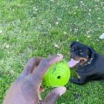 Sinqua Walls Instagram – Puppy Love💙!! Yung NINO ✨