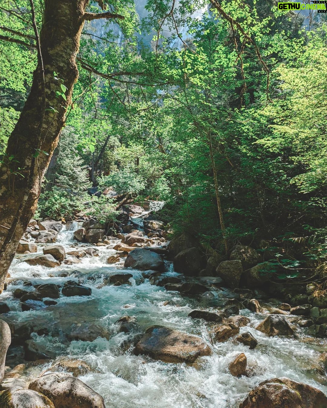 Siobhan Williams Instagram - Pics of nature > selfies.