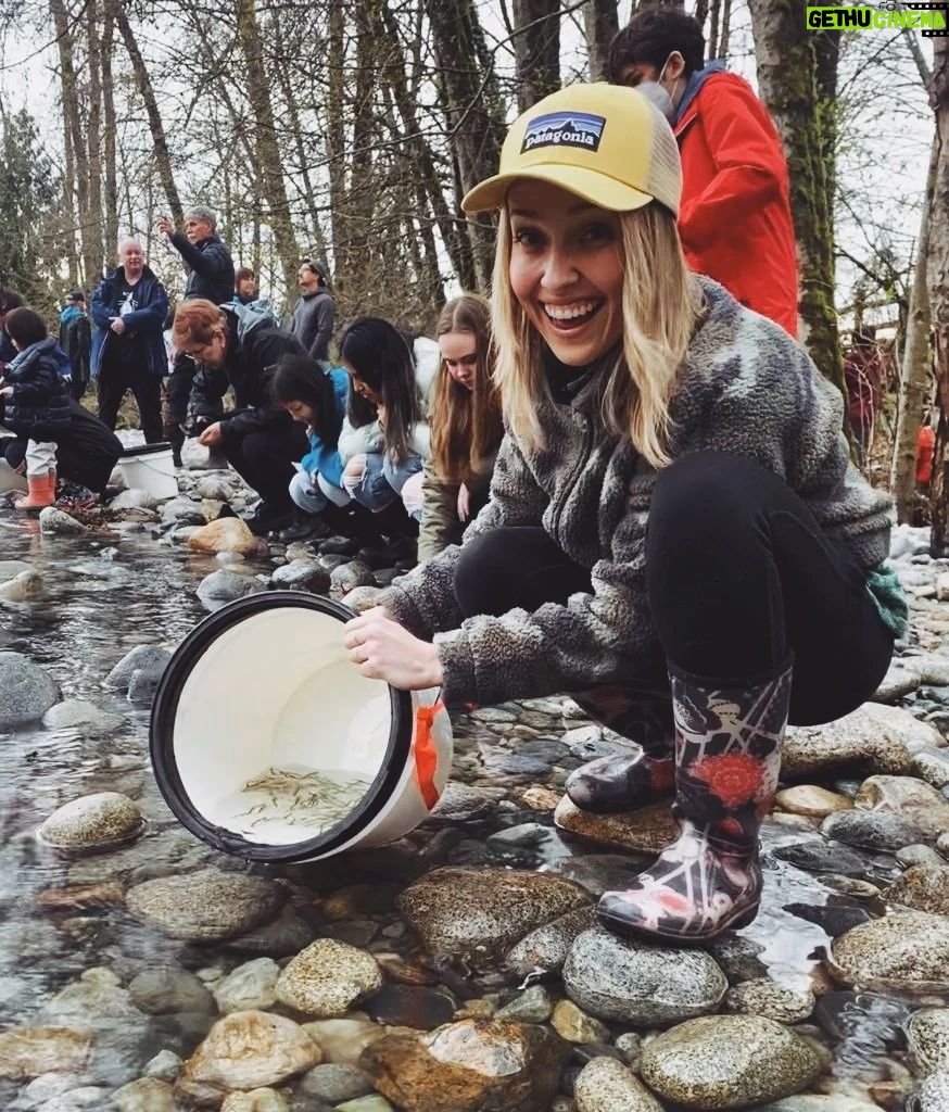 Siobhan Williams Instagram - So amazing to be able to take these little baby fish (chum fry!) and release them out into the big wide world. These guys were raised in a hatchery to try to replenish fish populations which struggle everywhere nowadays due to habitat loss, overfishing, and climate change. Raising them in a hatchery gives them the best chance of surviving their most fragile ages, and now they are ready to make their journey to the ocean to become big grown up fishies. If you eat fish please try to find sustainably fished/not farmed fish. If you learn about the devastating impacts most methods of fish farming have, you realize how many additional animals are caught in nets or how much infectious disease they spread to our wild ecosystems. Please take the time to learn about where your food comes from and how it gets to your plate from there. #streamkeepers #babyfish #chumsalmon