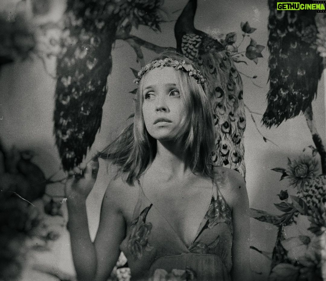 Siobhan Williams - 2.3K Likes -