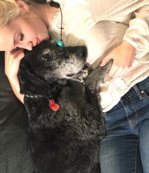 Siobhan Williams Instagram - My sweet, sweet boy. I can’t believe you are gone. You’ve been with my for most of my life that I can remember.  You’ve always been my 90 lb lap dog and I will miss having you beg to come sit on me every time I see you. You were the happiest boy your whole life, loved nothing more than being outside, running around and exploring. You never ever stopped being a puppy, or jumping around like one, even when your body was giving up on you. I love you forever Dusty.
