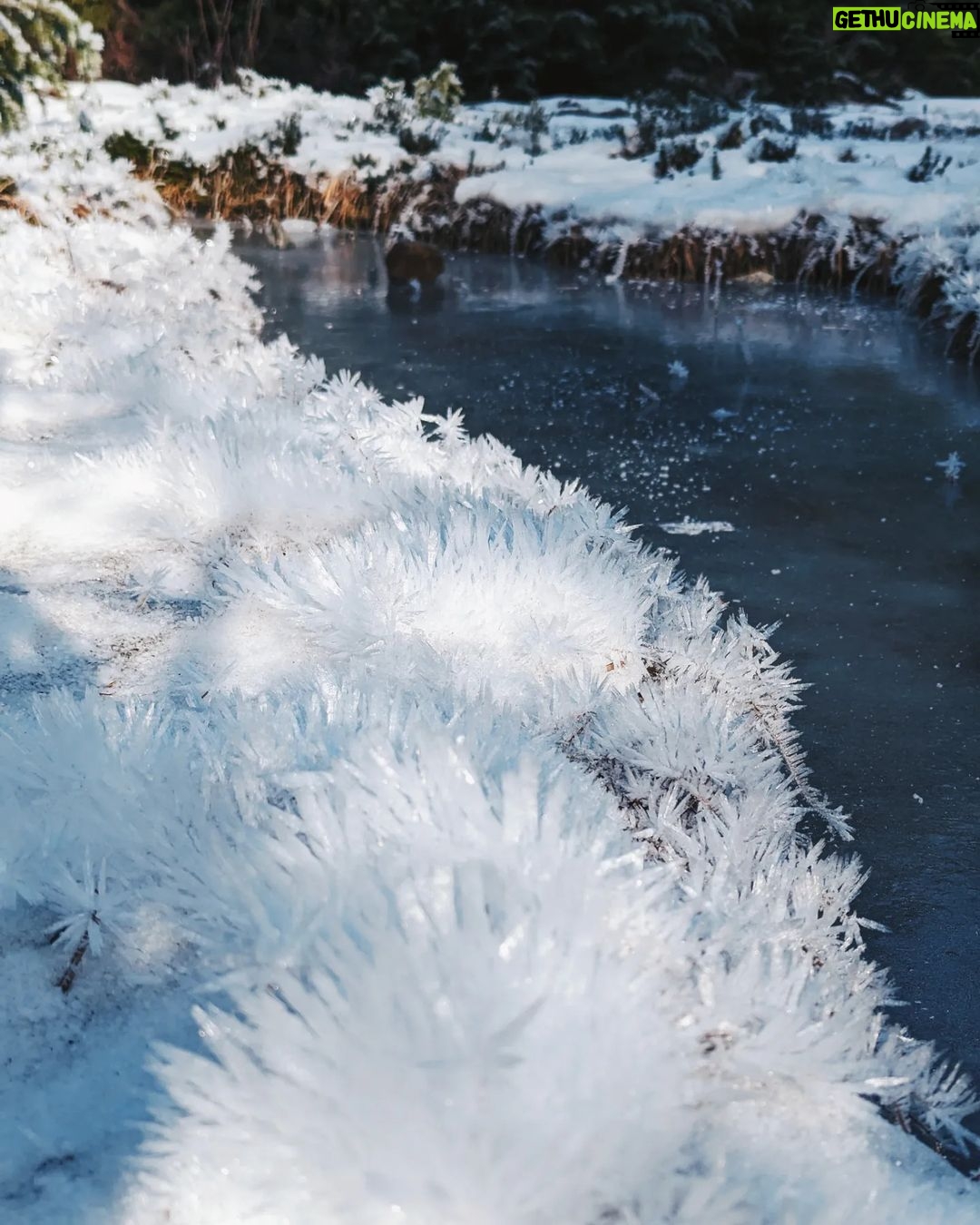 Siobhan Williams Instagram - Sometimes, when water gets pretty cold, like really cold, it does this thing where it turns solid. And it can be very nice to look it. This here type of cold water today is called hoarfrost, my friends. ...cue the comment section.