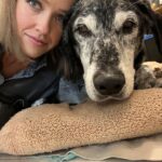 Siobhan Williams Instagram - My sweet, sweet boy. I can’t believe you are gone. You’ve been with my for most of my life that I can remember. You’ve always been my 90 lb lap dog and I will miss having you beg to come sit on me every time I see you. You were the happiest boy your whole life, loved nothing more than being outside, running around and exploring. You never ever stopped being a puppy, or jumping around like one, even when your body was giving up on you. I love you forever Dusty.
