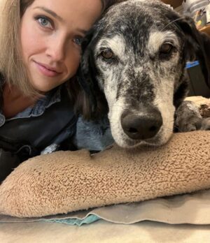 Siobhan Williams Instagram - My sweet, sweet boy. I can’t believe you are gone. You’ve been with my for most of my life that I can remember.  You’ve always been my 90 lb lap dog and I will miss having you beg to come sit on me every time I see you. You were the happiest boy your whole life, loved nothing more than being outside, running around and exploring. You never ever stopped being a puppy, or jumping around like one, even when your body was giving up on you. I love you forever Dusty.