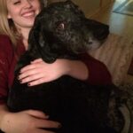 Siobhan Williams Instagram - My sweet, sweet boy. I can’t believe you are gone. You’ve been with my for most of my life that I can remember. You’ve always been my 90 lb lap dog and I will miss having you beg to come sit on me every time I see you. You were the happiest boy your whole life, loved nothing more than being outside, running around and exploring. You never ever stopped being a puppy, or jumping around like one, even when your body was giving up on you. I love you forever Dusty.