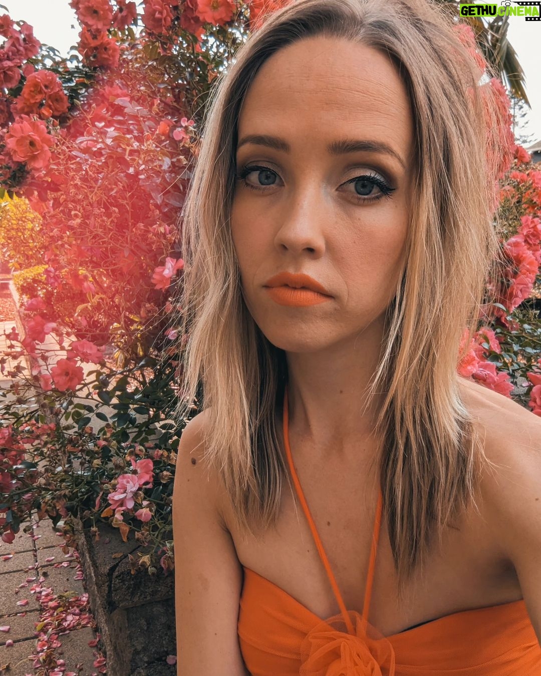Siobhan Williams - 3.2K Likes - TOMORROW I'm gonna be making a very exciting announcement live right here at 9:30am PST. Come join my insta live to find out what's going onnnnn! Any wild guesses? 😜