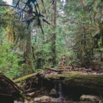 Siobhan Williams Instagram - What did you get up to this long weekend? With the start of the new month came a very sudden onset of fall here in the PNW. The air is cool and damp and everything that's been so starved for water since May has a little more life to it. 🤍
