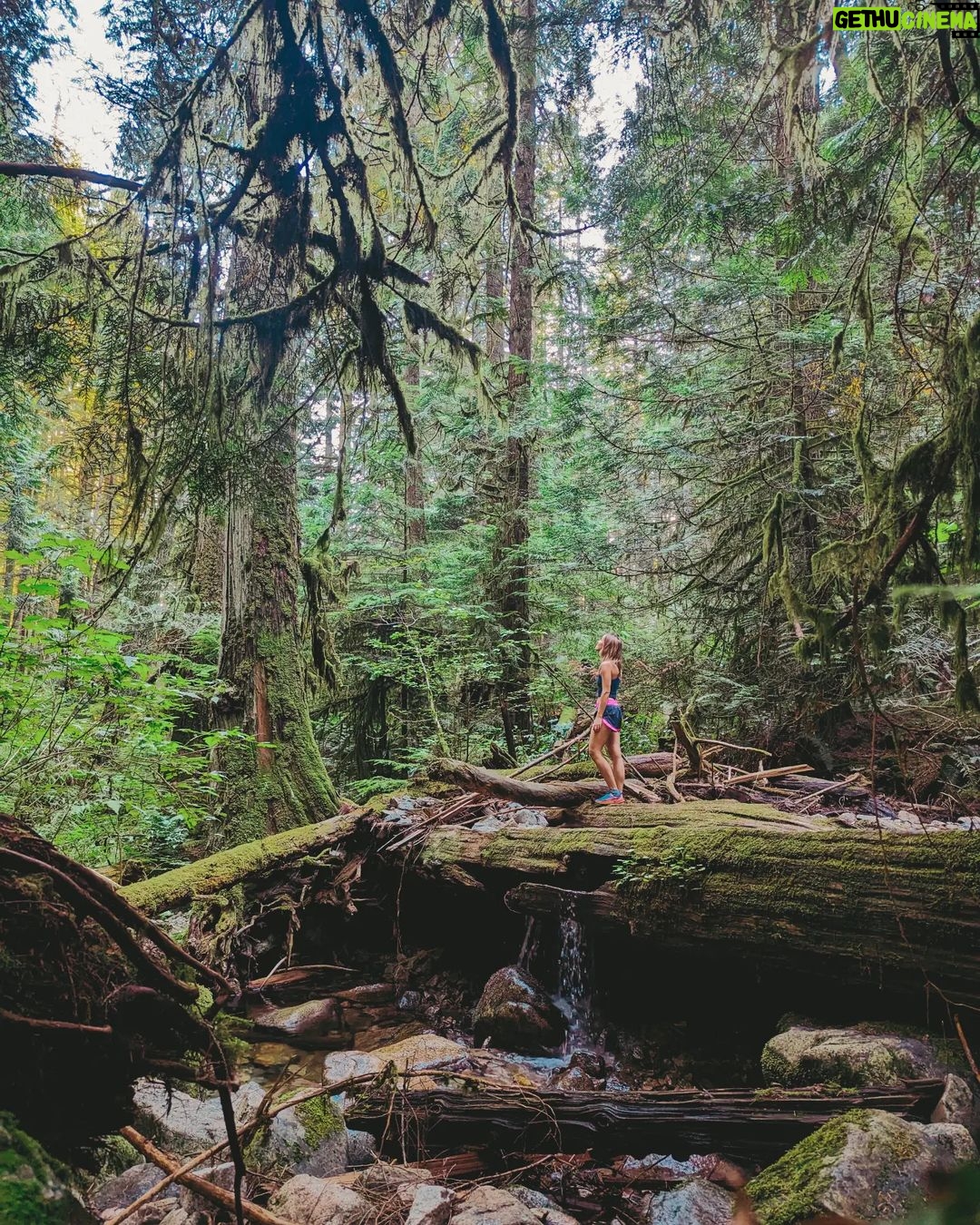 Siobhan Williams Instagram - What did you get up to this long weekend? With the start of the new month came a very sudden onset of fall here in the PNW. The air is cool and damp and everything that's been so starved for water since May has a little more life to it. 🤍