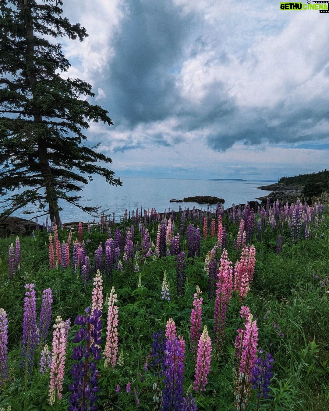 Siobhan Williams Instagram - A beautiful week in Nova Scotia.
