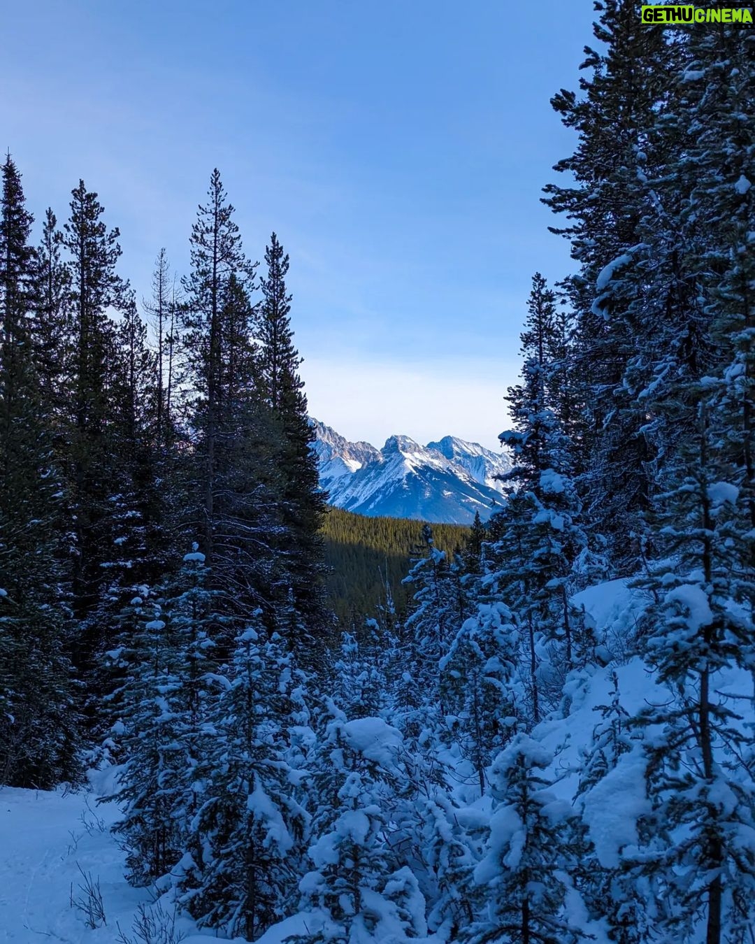 Siobhan Williams Instagram - What would life be without mountains? Rocky Mountains, Canada