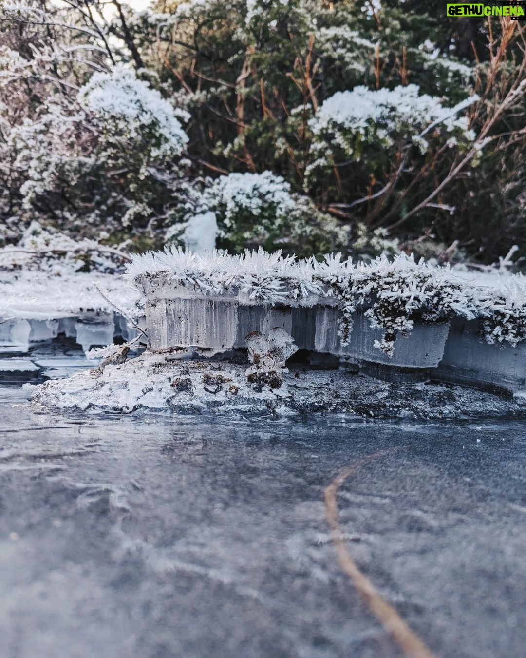 Siobhan Williams Instagram - Sometimes, when water gets pretty cold, like really cold, it does this thing where it turns solid. And it can be very nice to look it. This here type of cold water today is called hoarfrost, my friends. ...cue the comment section.