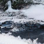 Siobhan Williams Instagram - Sometimes, when water gets pretty cold, like really cold, it does this thing where it turns solid. And it can be very nice to look it. This here type of cold water today is called hoarfrost, my friends. ...cue the comment section.