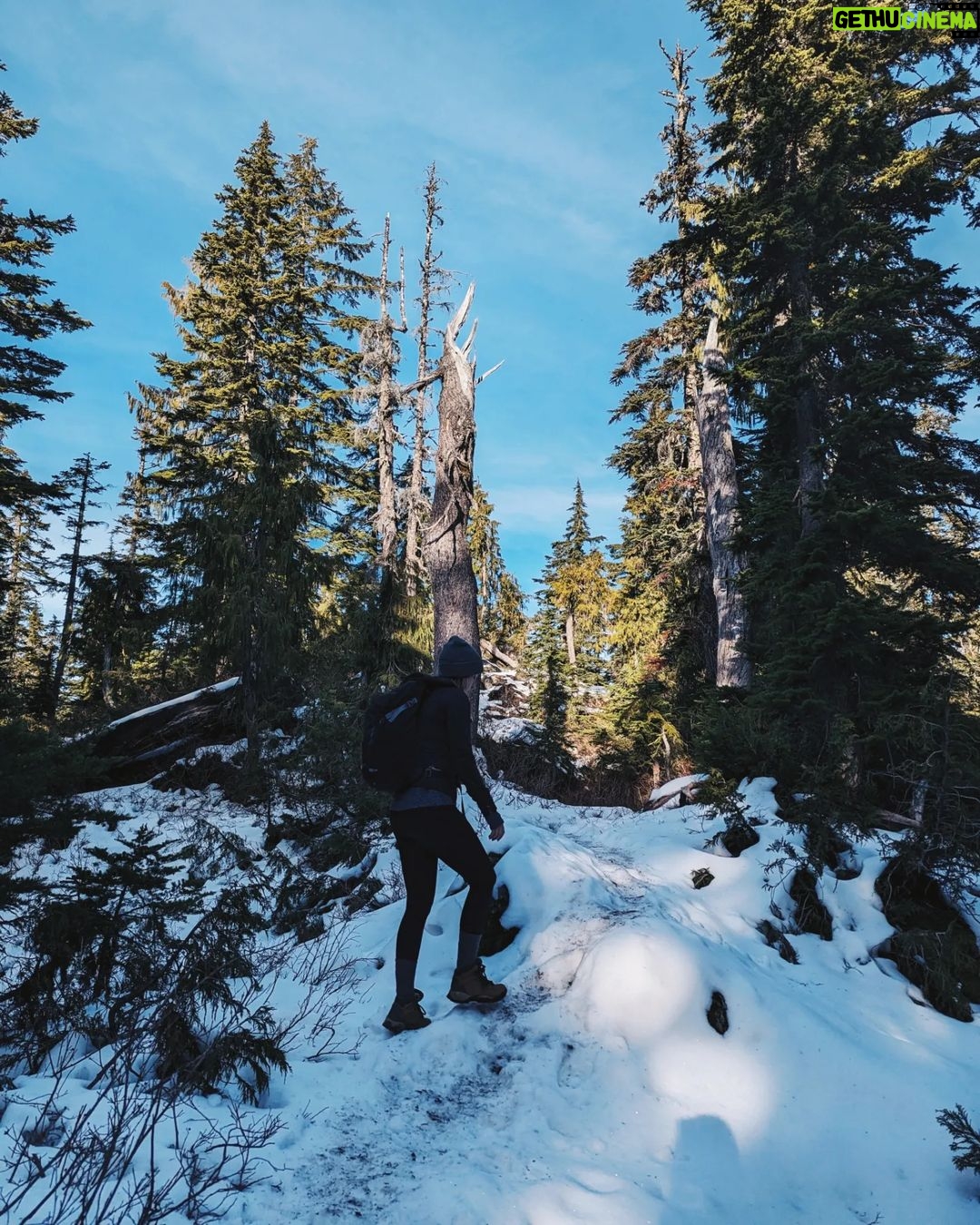 Siobhan Williams Instagram - Sometimes, when water gets pretty cold, like really cold, it does this thing where it turns solid. And it can be very nice to look it. This here type of cold water today is called hoarfrost, my friends. ...cue the comment section.