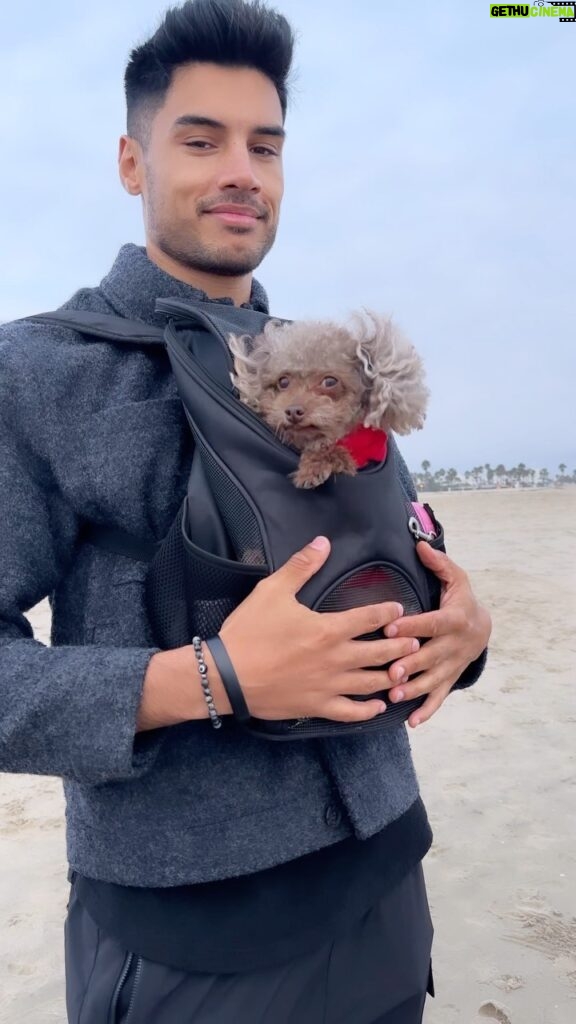 Siva Kaneswaran Instagram - Mylo didn’t like the breeze 😂 So happy to have had some time with the kiddies and @spirits.in.bloom in LA. Haven’t been home since the start of July. 😅 #siva #thewanted #dogdad #losangeles #beach #holidays Los Angeles, California