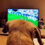 Sky Li Instagram - 先不說了 我要跟我大哥看球了 #烏拉圭vs俄羅斯