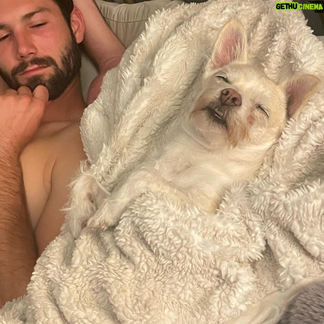 Skyler Joy Instagram - I don’t want to know what a life without animals would be like… 🐶🐕 San Diego, California