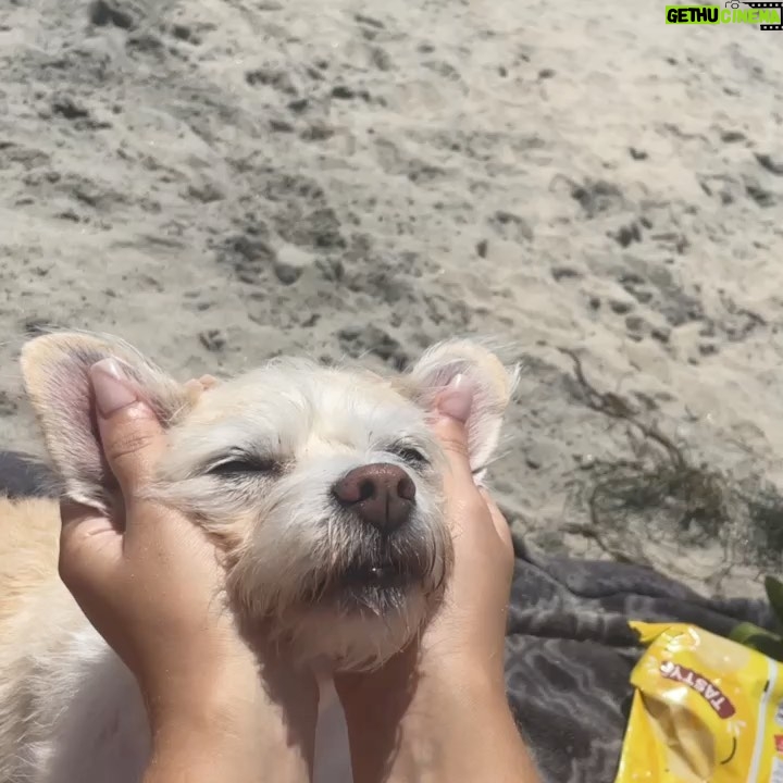 Skyler Joy Instagram - I don’t want to know what a life without animals would be like… 🐶🐕 San Diego, California