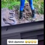 Snoop Dogg Instagram - 😆😳😳
