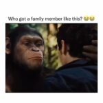 Snoop Dogg Instagram - 😆💯