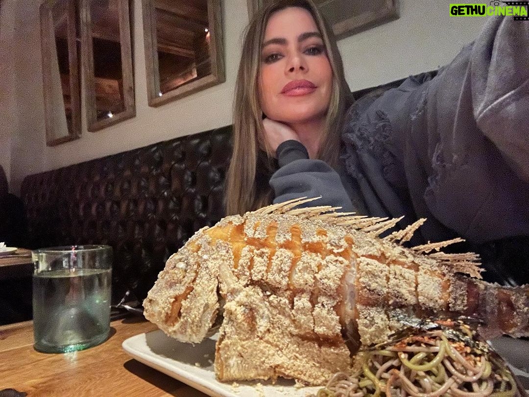 Sofía Vergara Instagram - Light dinner😋😋