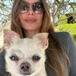 Sofía Vergara Instagram - What a year🥂. Adios 2023