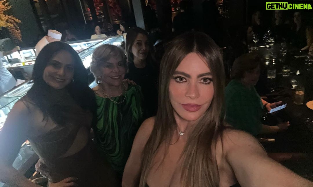 Sofía Vergara Instagram - Miami nights❤️