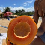 Sofia Bryant Instagram - sofi kick sea urchin 0_°