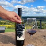 Sonal Chauhan Instagram - A day at the Vineyard 🍇🍷 . . . . . . . . . . . . . . . . . . . . 📸 @sonia.chauhaan #love #sonachauhan #vineyard #wine #winetasting #america