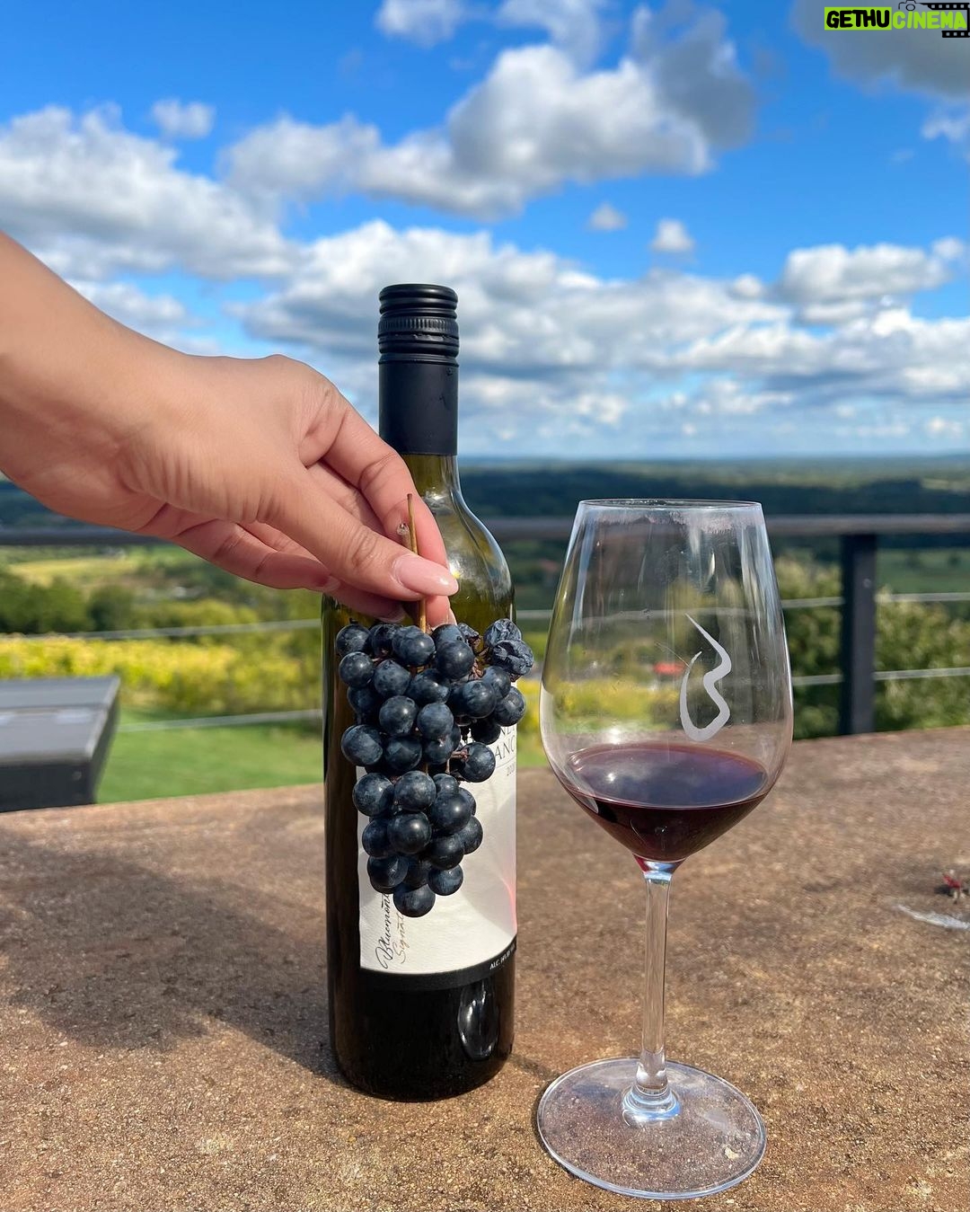 Sonal Chauhan Instagram - A day at the Vineyard 🍇🍷 . . . . . . . . . . . . . . . . . . . . 📸 @sonia.chauhaan #love #sonachauhan #vineyard #wine #winetasting #america