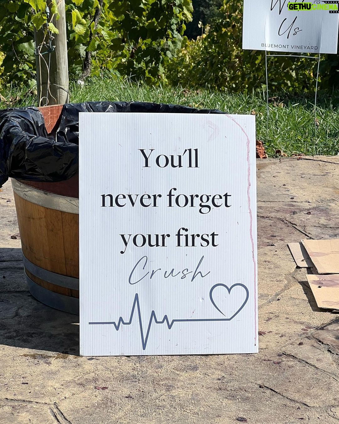 Sonal Chauhan Instagram - A day at the Vineyard 🍇🍷 . . . . . . . . . . . . . . . . . . . . 📸 @sonia.chauhaan #love #sonachauhan #vineyard #wine #winetasting #america