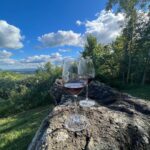 Sonal Chauhan Instagram – A day at the Vineyard 🍇🍷 
.
.
.
.
.
.
.
.
.
.
.
.
.
.
.
.
.
.
.
.
📸 @sonia.chauhaan 
#love #sonachauhan #vineyard #wine #winetasting #america