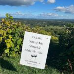 Sonal Chauhan Instagram - A day at the Vineyard 🍇🍷 . . . . . . . . . . . . . . . . . . . . 📸 @sonia.chauhaan #love #sonachauhan #vineyard #wine #winetasting #america