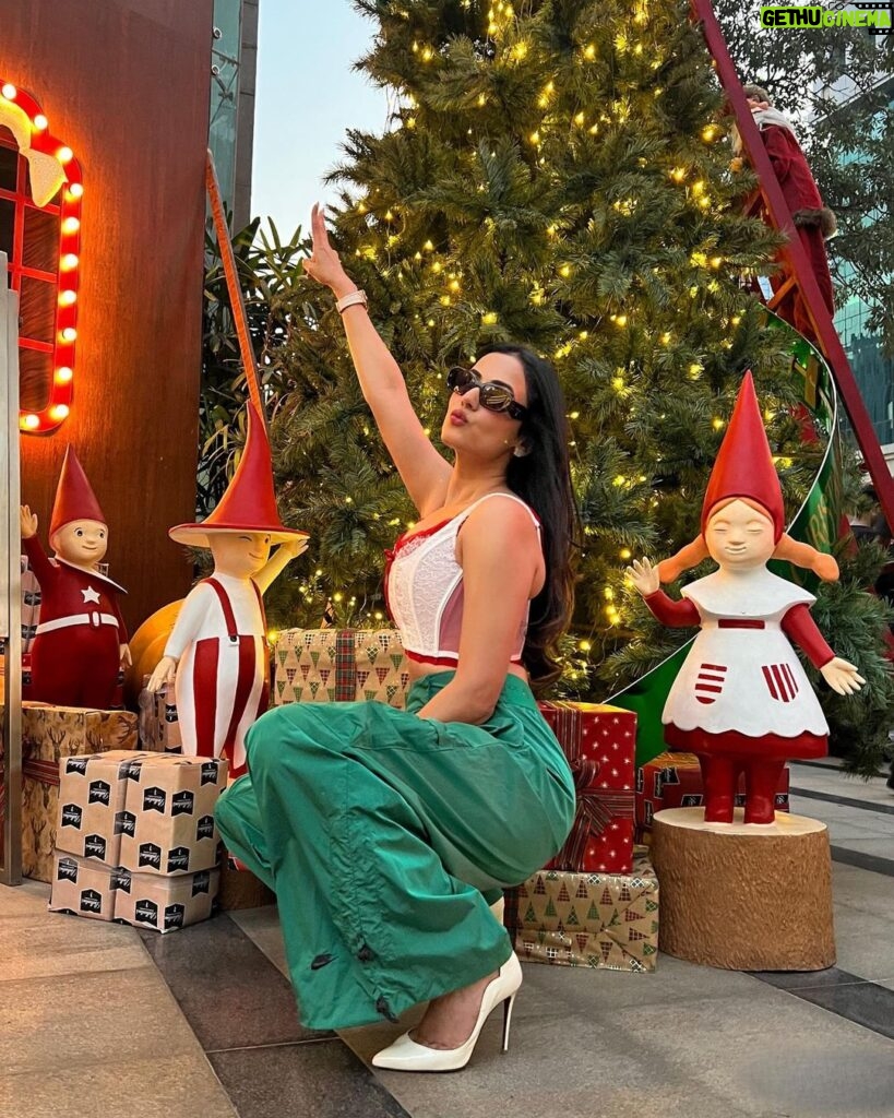Sonal Chauhan Instagram - Merry Merry Christmas and Happy Holidays 🎄✨🎅 . . . . . . . . . . . . #merrychristmas #sonalchauhan #love #december