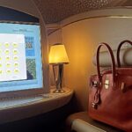 Sonal Chauhan Instagram - All you need is a passport … And a photographer…. ✈️ 🧳 . . . . . . . . . . . #love #sonalchauhan #travel #dubai #emirates #firstclass Dubai International Airport, Dubai.