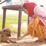 Sonam Bajwa Instagram - Love at first sight…. Meet Laddo 🥺❤️ from the sets of ‘Kudi Haryane Val di’