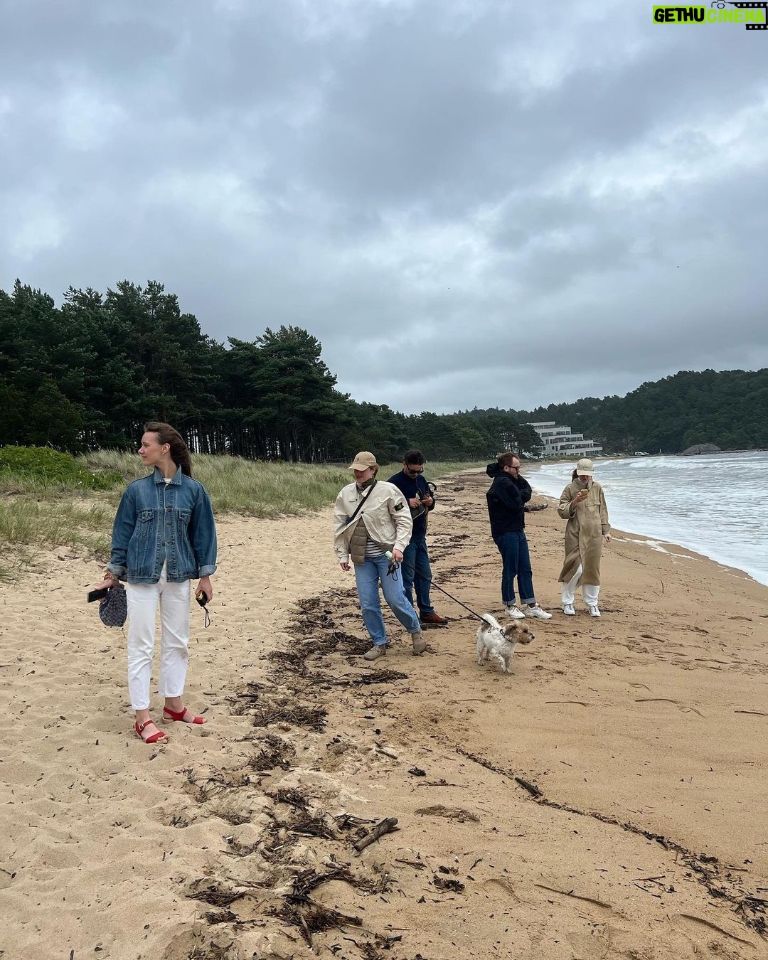 Sondre Lerche Instagram - Summer In Reverse feat. Various Artists Summer Collection