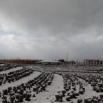 Sonnye Lim Instagram - Hokkaido