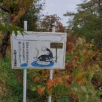 Sonnye Lim Instagram - Hokkaido