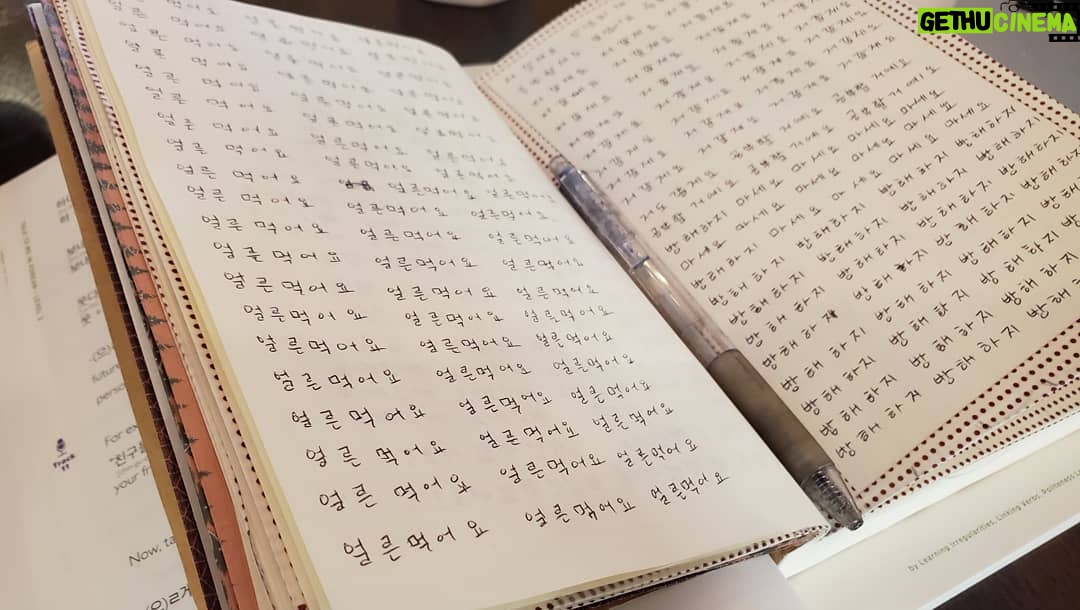 Sonnye Lim Instagram - Studied korean, then I tried animating it