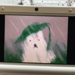 Sonnye Lim Instagram -