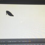 Sonnye Lim Instagram -
