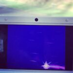 Sonnye Lim Instagram -