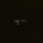 Sonnye Lim Instagram -