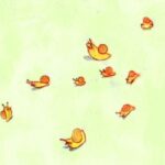 Sonnye Lim Instagram -