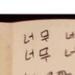 Sonnye Lim Instagram - Studied korean, then I tried animating it