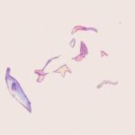 Sonnye Lim Instagram - If you enjoy my work, please consider supporting me on Patreon! [Link in bio] - Thank you!