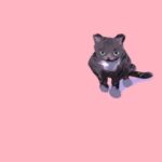 Sonnye Lim Instagram - Gift for my friend @hakobore of their cat, Tabi!