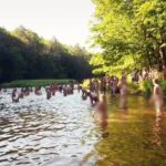 Spencer Tunick Instagram - Tickets for Spring/Break Art Show in 🔗Bio. September 7-12 in New York City. More info @springbreakartshow 𝐖𝐈𝐋𝐃 𝐖𝐀𝐍𝐃𝐄𝐑 A collaboration with @pwbuehler Video by Antiquity Echoes Thanks to the participants and curator Daniel Aycock and: @antiquity_echoes @dma_productions @kathleenvanceart @krystipink @lisalevyartwork @dennistonwild @frontroomnyc @lucamercedes Note to the participants: Print hand out info coming soon.