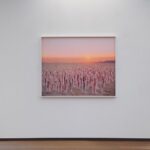 Spencer Tunick Instagram - Two weeks left to see ‘Public Interventions’ at @alexdanielsreflex in Amsterdam. Through November 7 Link to exhibition in Bio