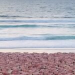 Spencer Tunick Instagram - Bondi Beach Sunrise Installation with @skincheckchampions cancer charity. Thank you to all the participants. Special Thanks to Scott, Drew, Bruce and Anne. Thanks to Lauren, Andrew and Luca